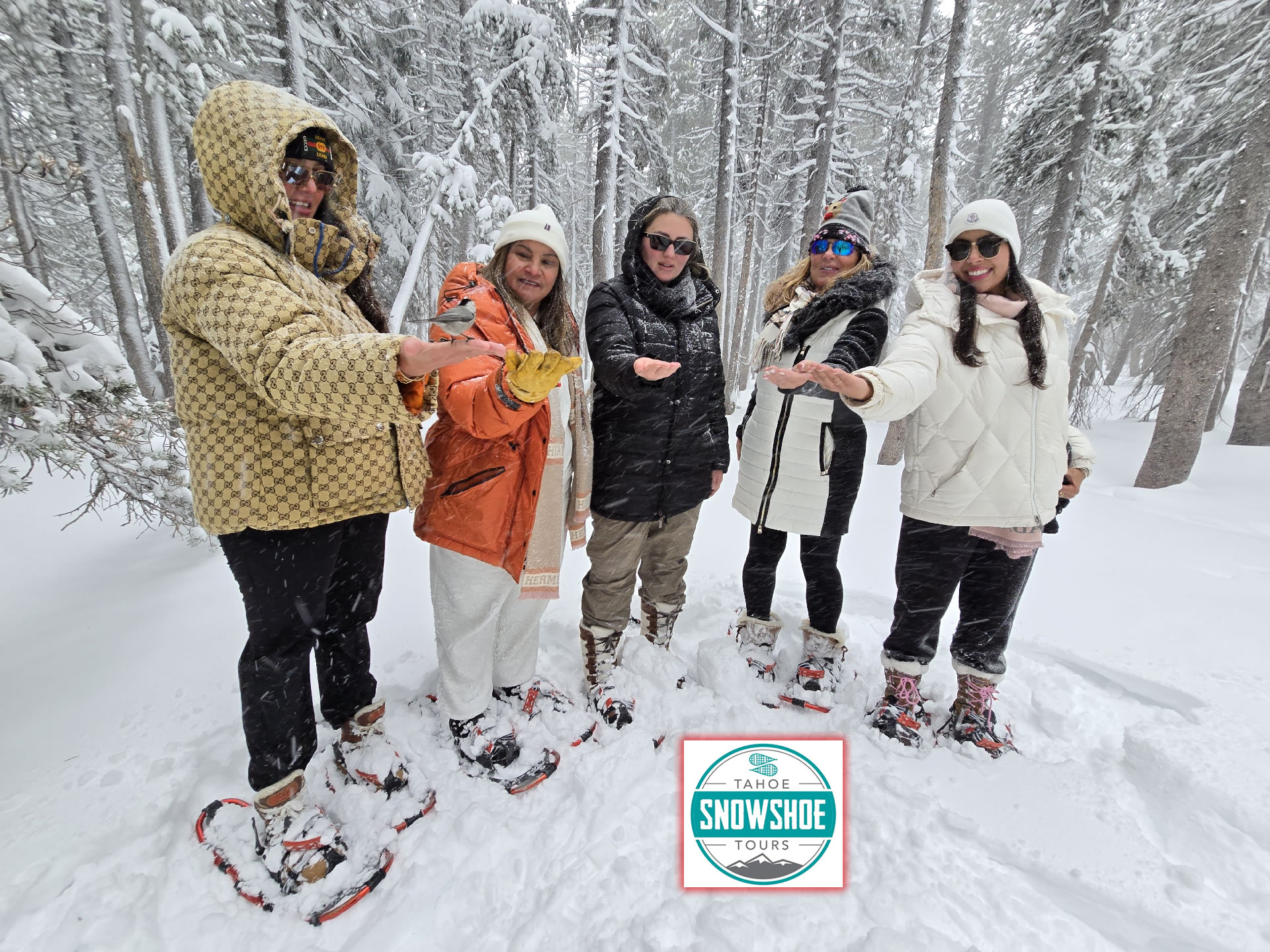 tahoesnowshoetours 2025